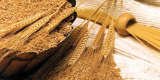 importation de blé maroc