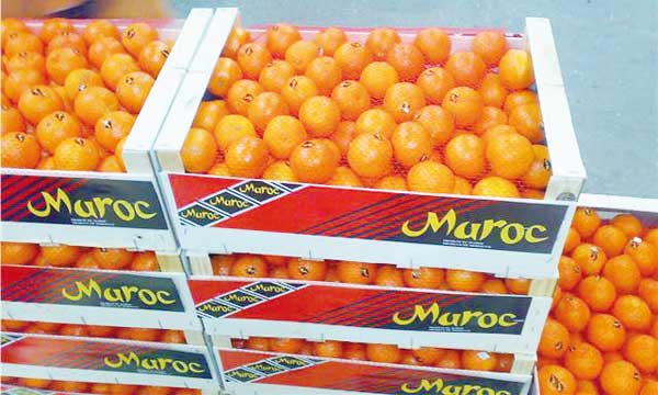 Le Maroc, 1er exportateur de fruits et légumes vers l’Espagne entre janvier et août 2017