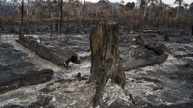 Amazonie : 20 millions d’euros pour lutter contre les incendies