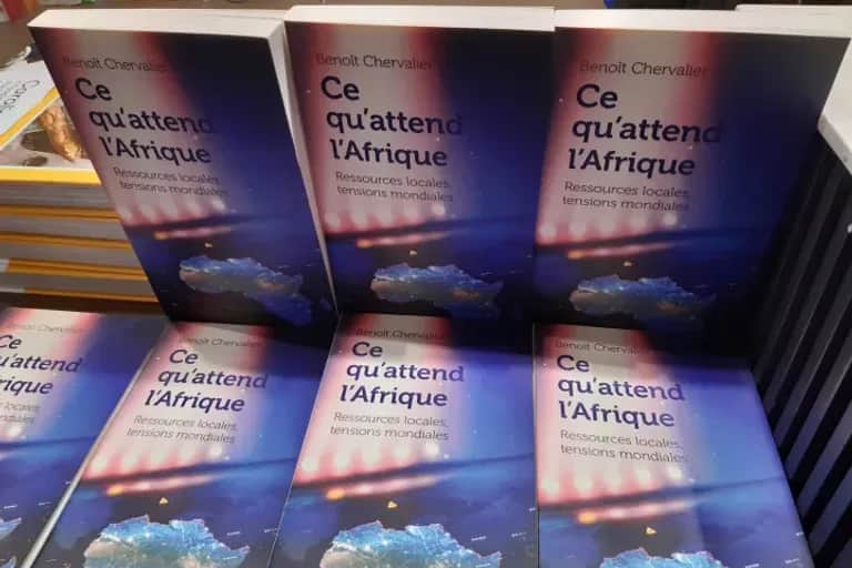 Afrique : Benoît Chervalier déconstruit les visions simplistes sur le continent