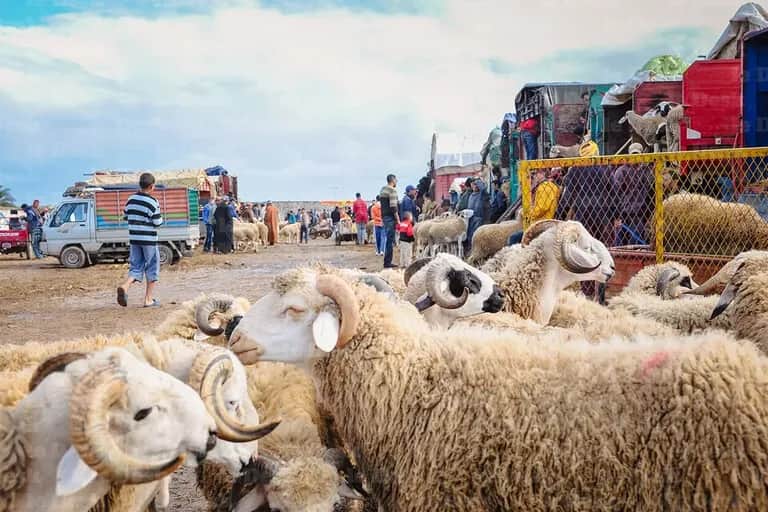Aïd Al-Adha : prolongation du week-end avec un jour férié exceptionnel
