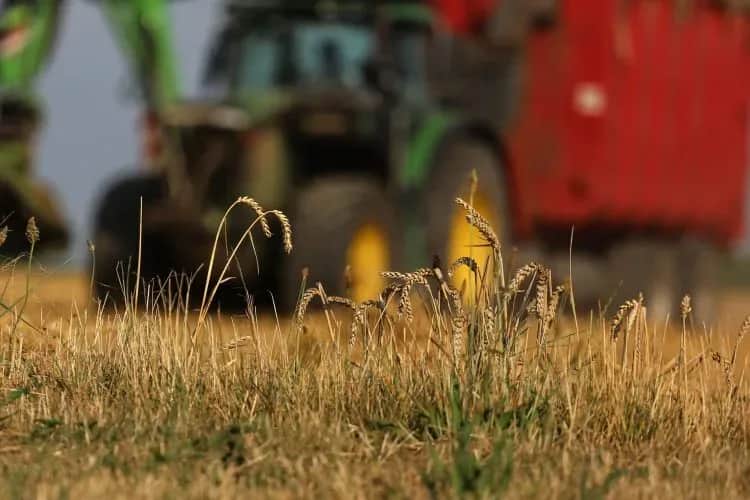 Assurance agricole: quel avenir face à la fréquence et l’intensité des sécheresses ?