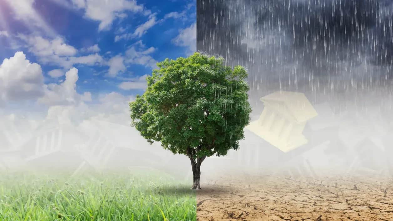 Risques climatiques au Maroc : quels enjeux pour les banques ?