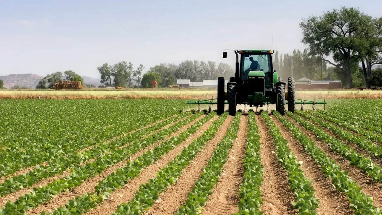 Production céréalière: la campagne agricole 2024-2025 devrait atteindre 44 millions de quintaux