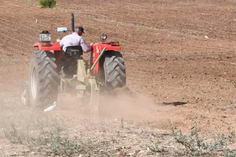 Campagne agricole 2026/2027: La prochaine saison bénéficie de conditions favorables pour le démarrage
