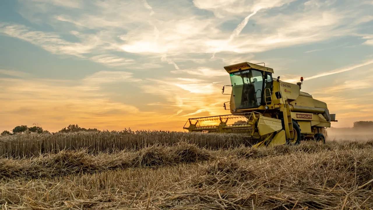 Campagne agricole 2023/2024: une année noire pour l’agriculture marocaine