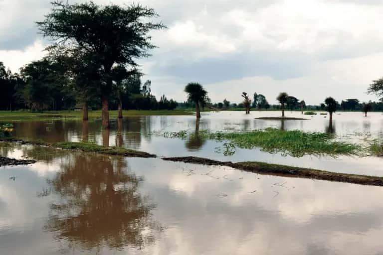 Campagne agricole: des pluies abondantes, mais aussi  des sinistres