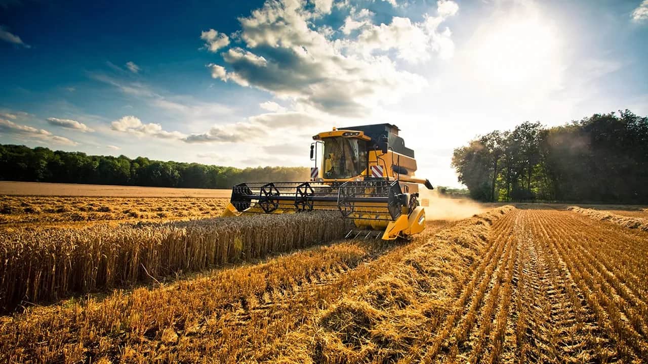 Campagne: effets mitigés des dernières pluies pour redresser la saison