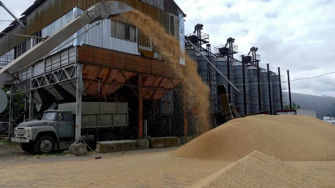 Céréales: bousculade attendue sur le marché mondial cette année
