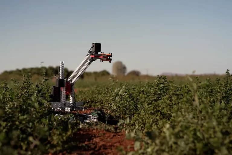 DeepLeaf : «Notre mission est de réduire le fossé technologique qui existe dans l'agriculture à l'échelle planétaire»