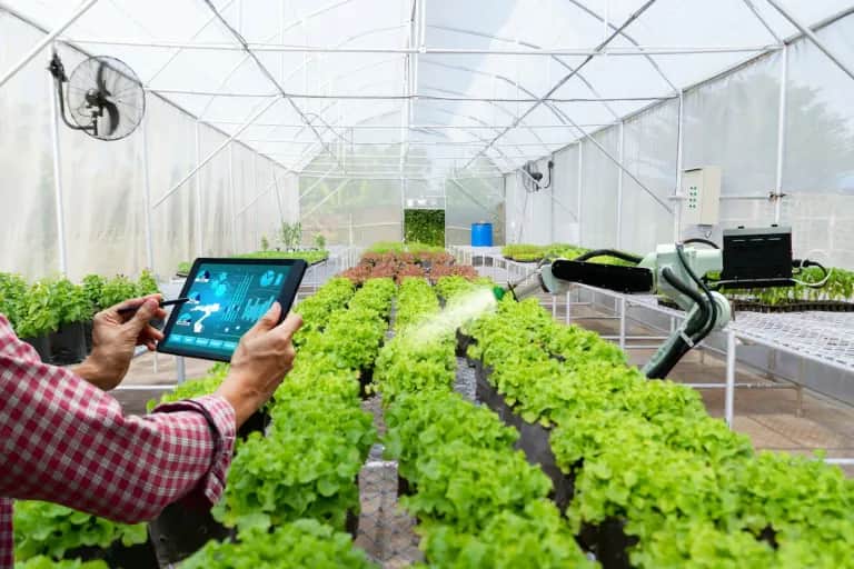 E-services: le pari de la digitalisation du monde agricole