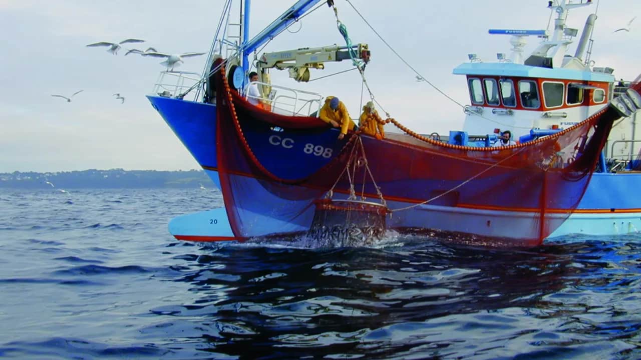 Economie bleue: le Maroc met les bouchées doubles