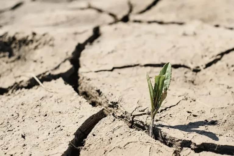 DE L’ETAT SOCIAL À L’ÉTAT D’URGENCE HYDRIQUE