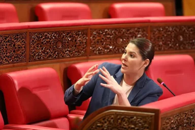 Offre foncière, plans d’aménagement, simplification… El Mansouri dévoile sa feuille de route