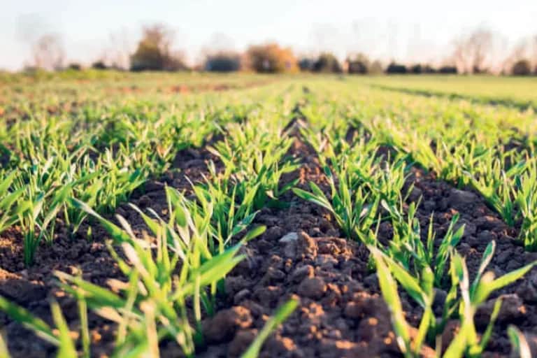 Génération Green : vers une agriculture plus verte, plus jeune et plus connectée