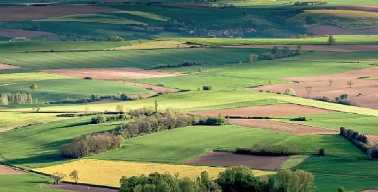 Gouvernance et intégration économiques des terres collectives : une revue de littérature multidimensionnelle