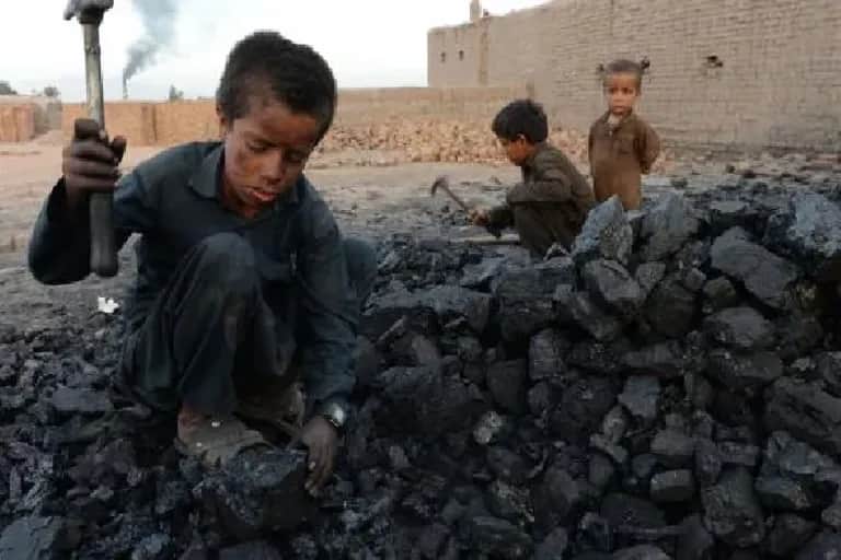 HCP: six enfants au travail sur dix accomplissent des travaux dangereux