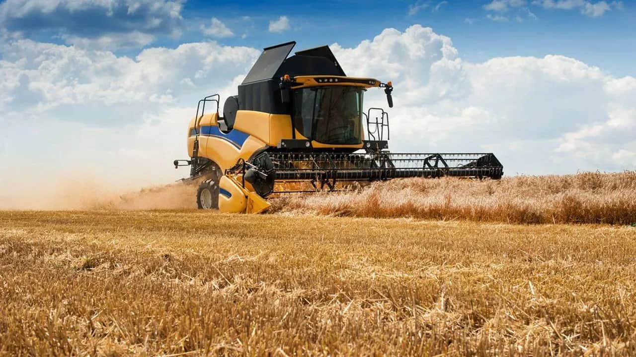 Importations céréalières : les besoins du Maroc en blé estimés à 6 millions de tonnes