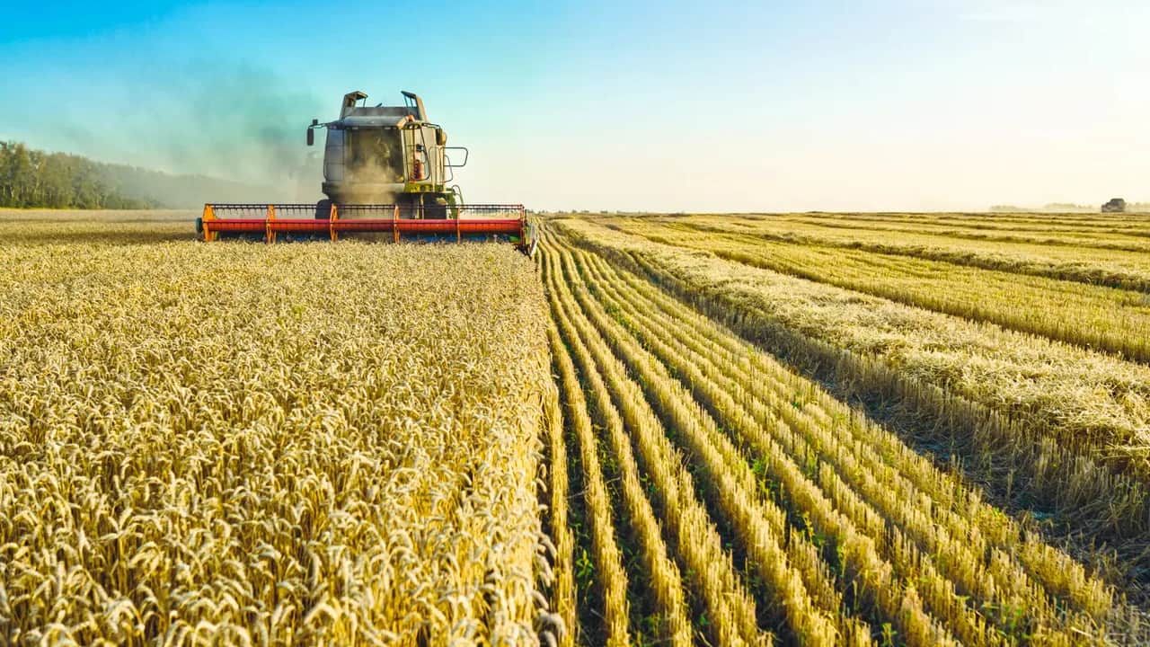 Innovation: un levier important pour booster le niveau de l’agriculture nationale