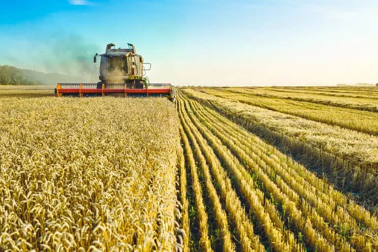 Innovation: un levier important pour booster le niveau de l’agriculture nationale
