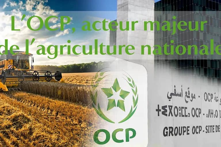 L’OCP, acteur majeur de l’agriculture nationale