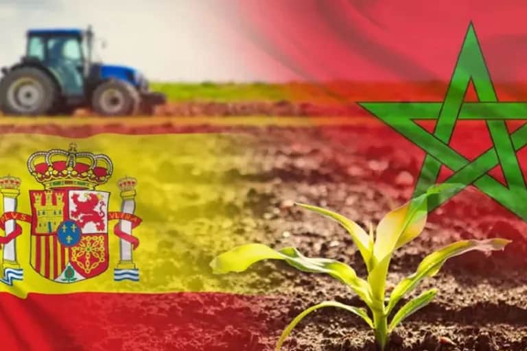 Maroc - Espagne : une coopération multidimensionnelle en constante évolution