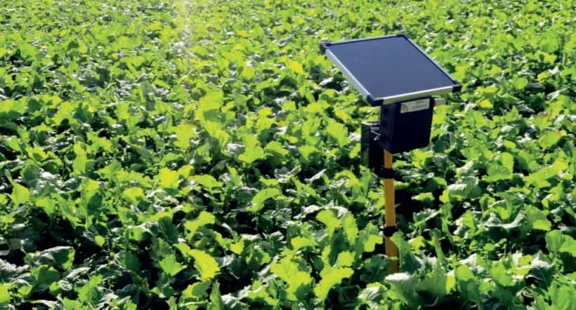 Maroc - France : un partenariat agricole multidimensionnel
