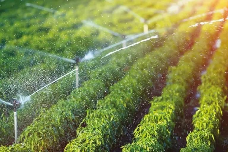 Maroc - Japon : un prêt de 3,9 milliards de dirhams pour transformer l’hydro-agriculture du Gharb