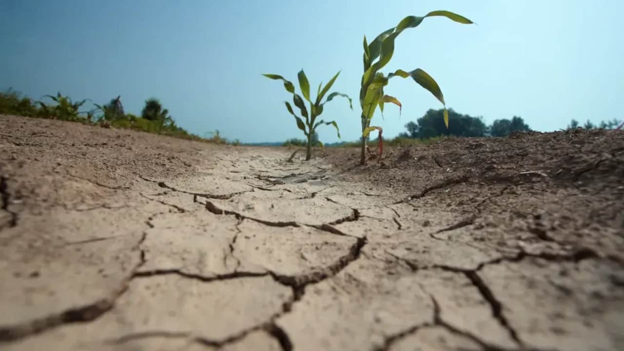 Sécheresses : l’OCDE alerte sur un coût humain et économique en forte hausse