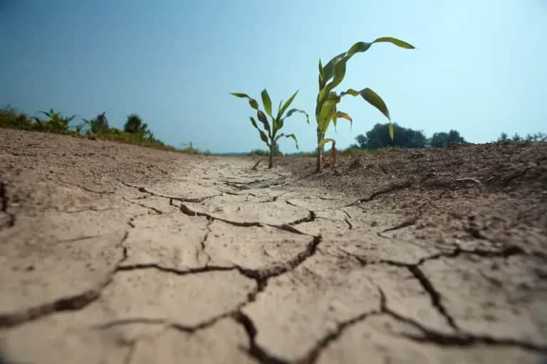 Sécheresses : l’OCDE alerte sur un coût humain et économique en forte hausse