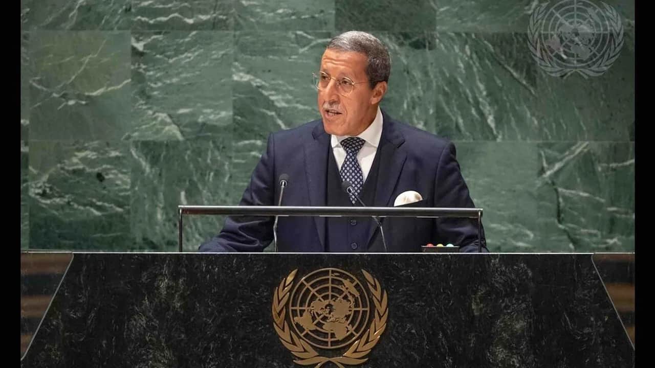 omar hilal onu