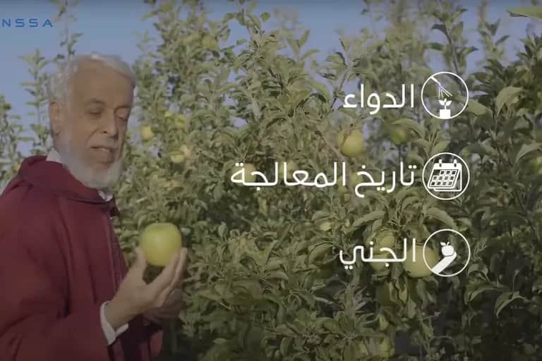 L'ONSSA exhorte les agriculteurs à utiliser le registre phytosanitaire