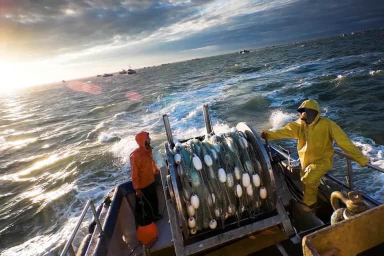Pêche: les débarquements dépassent 1,5 million de tonnes en 2022
