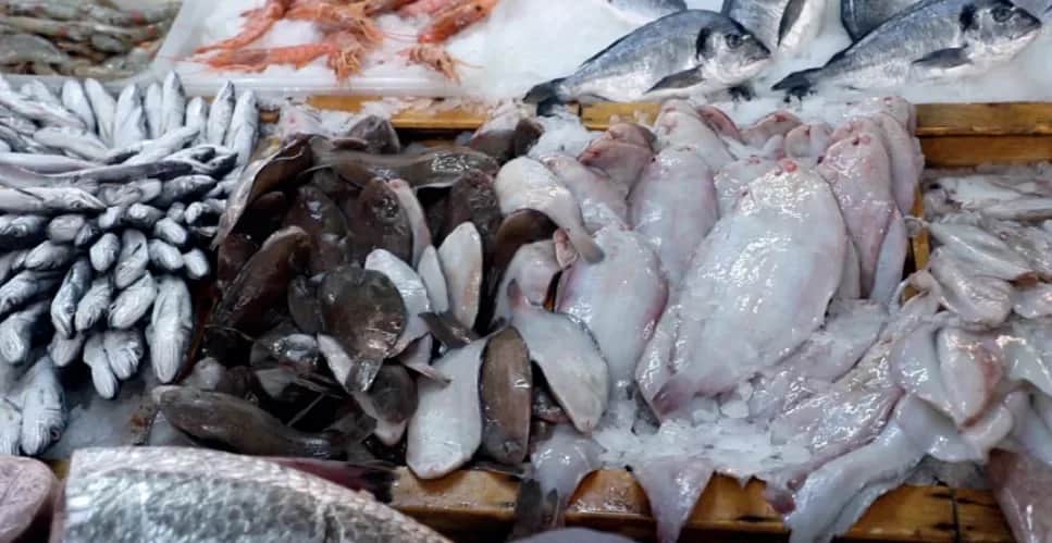 Poisson : la loi du marché s’invite à la table du ftour