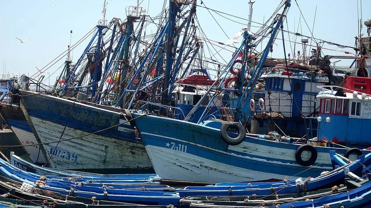 Pêche maritime: la CNSS lance sa plateforme "Portail DAMAN BAHRI"