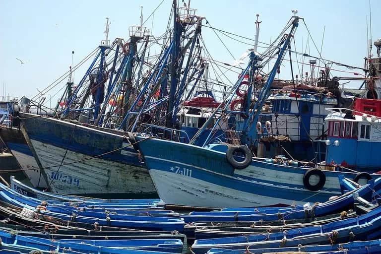 Pêche maritime: la CNSS lance sa plateforme "Portail DAMAN BAHRI"