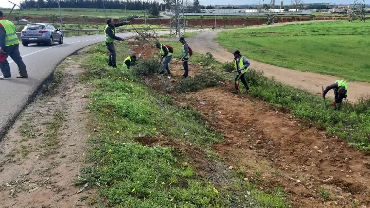 Programme "Awrach": 103.599 bénéficiaires en 2022