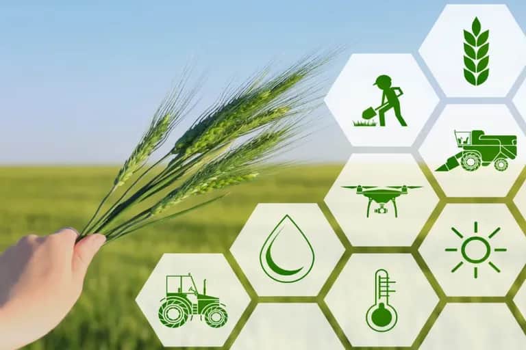 Transformation agricole : réduire de près d’un tiers les émissions de GES