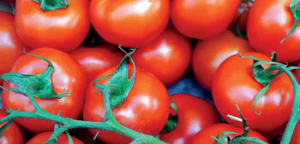 Résilience climatique : les activités tournées vers l’export performent