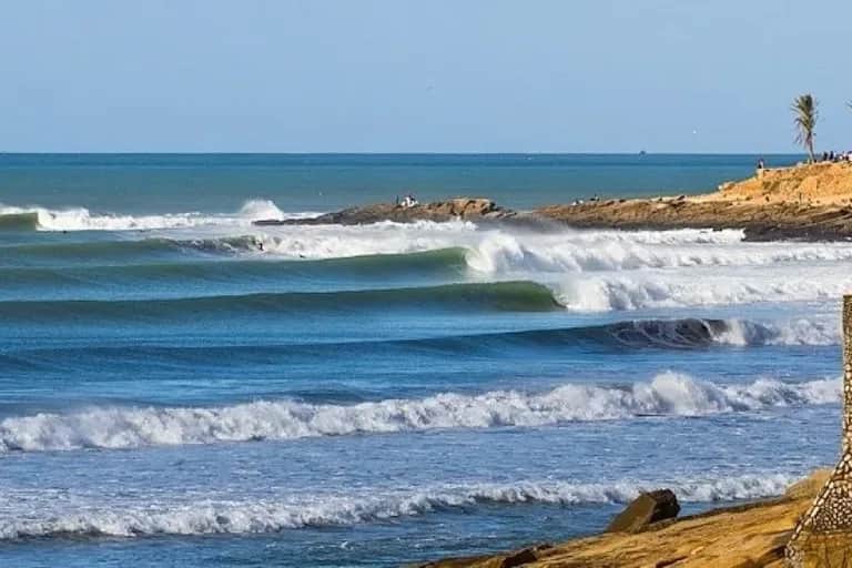 Salon : Aloha, surf from Taghazout !