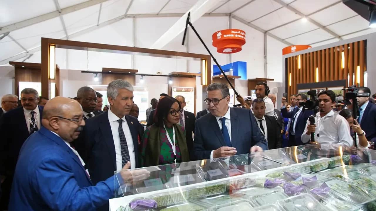 Meknès : coup d’envoi du 15ème Salon international de l'agriculture au Maroc