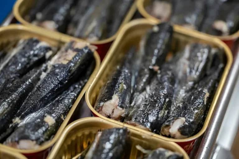 Sardine industrielle : le Conseil de la concurrence ouvre une enquête pour entente présumée sur les prix