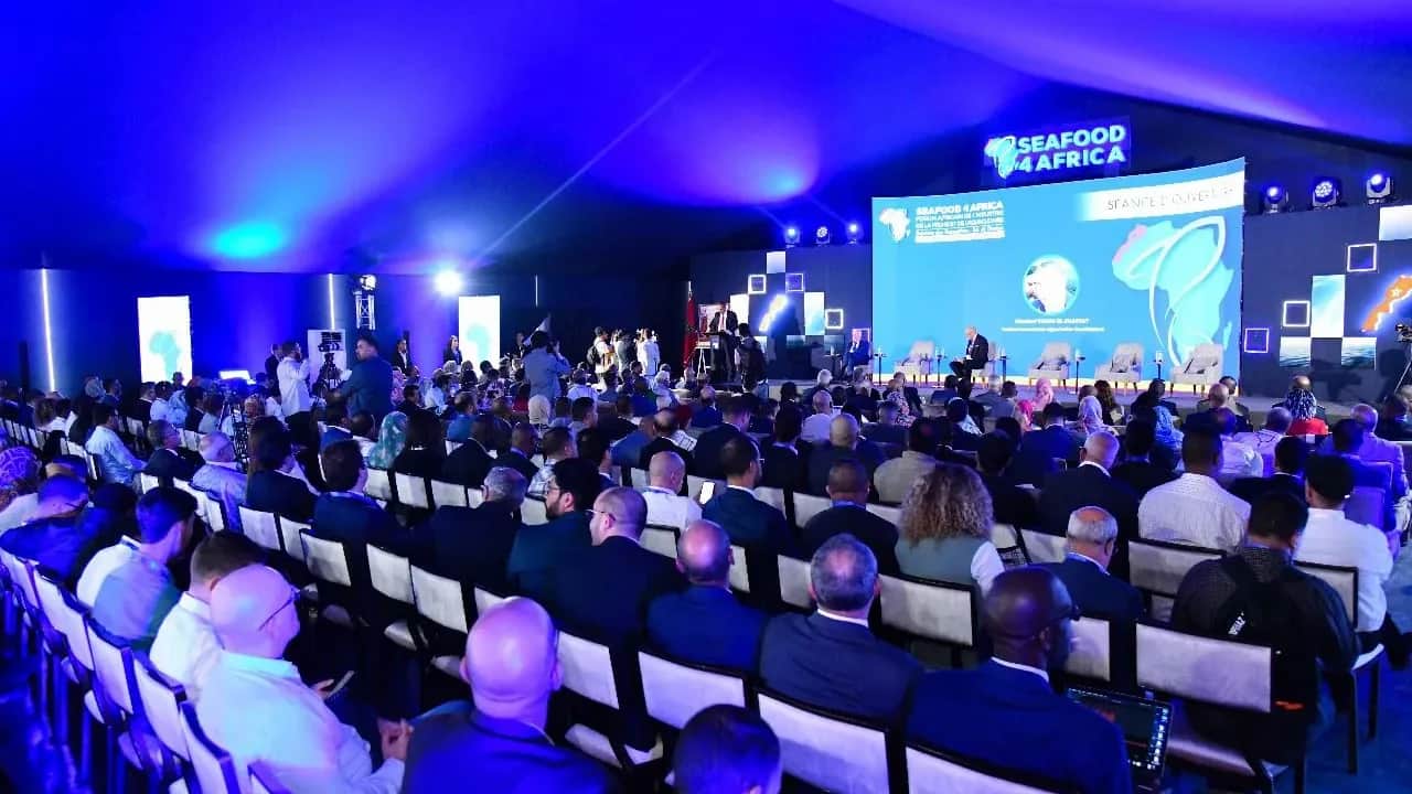 Économie bleue : Le Maroc accueille le Seafood 4 Africa 2026