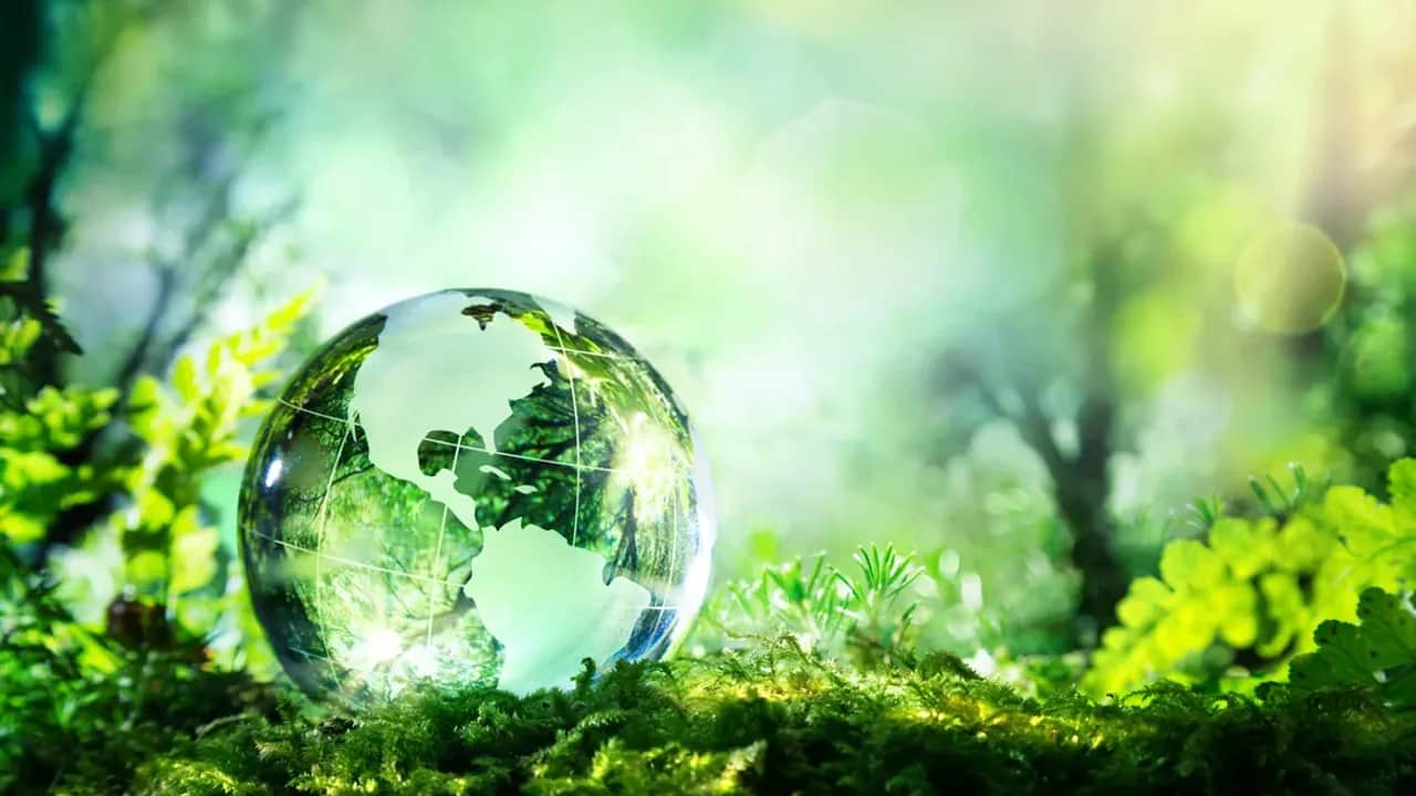 Un enjeu économique et environnemental