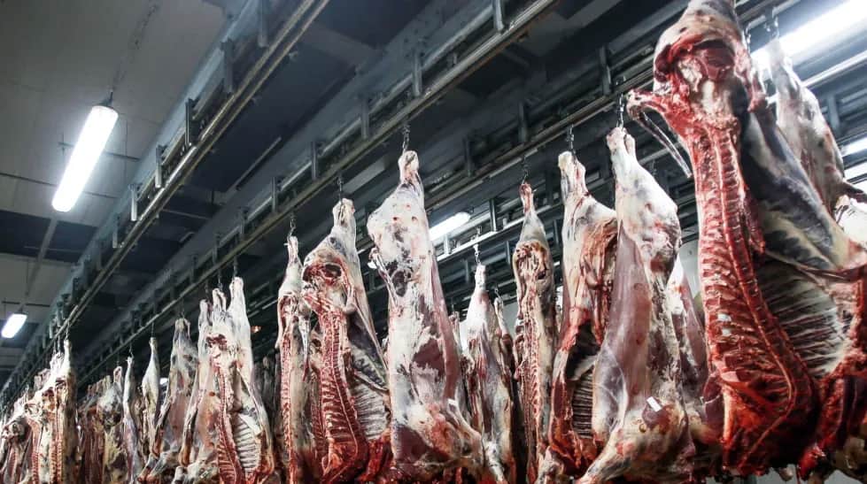 Viande rouge : le Ramadan ravive la fracture alimentaire