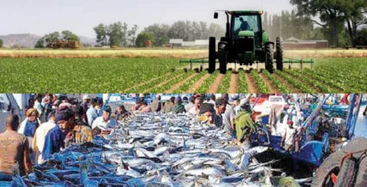 Dépenses fiscales : L'agriculture et la pêche dépassent 2,3 milliards de DH