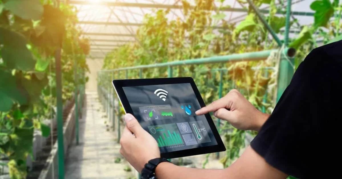 AgriTech4Morocco : 10 start-up sélectionnées