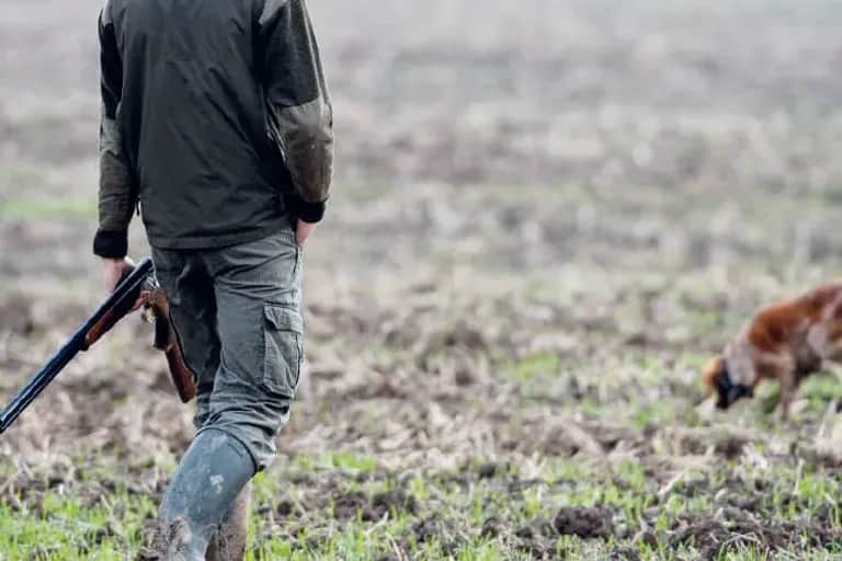 Eaux et forêts: c’est parti pour la saison de la chasse !
