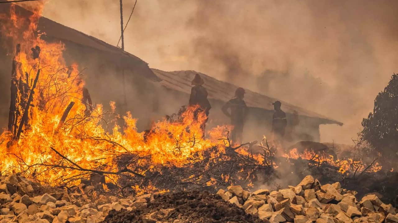 Feux de forêt au Maroc: 290 MDH pour atténuer l’impact des derniers incendies