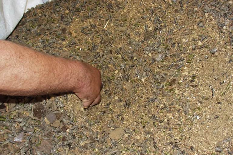 Filière des provendiers: victime de la conjoncture
